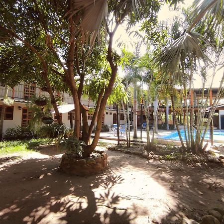 Hostal Luz De Luna 帕洛米诺 外观 照片